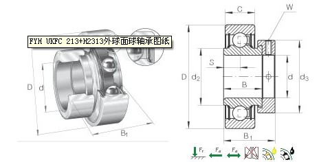 6010SS