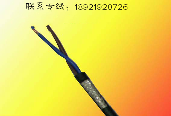 CAT5E CHJPF86/SC1*2*0.5