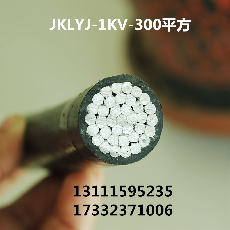 ܿս^(do) XоJKLYJ-1/10KV-300 (gu)(bio)