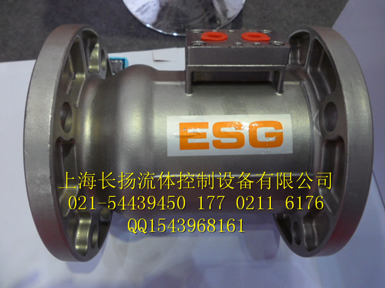 ESG204mʽP䓚y DN65 DN80 DN100