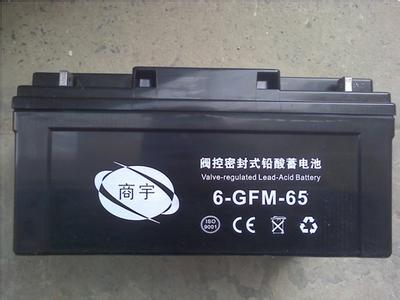 ̩늳12v65ahr(ji)