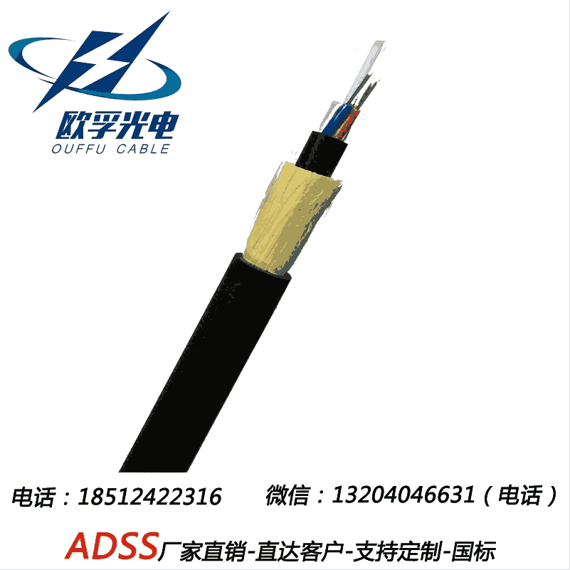 ADSS-24B1 (do)| ǽټܿչw ADSS-24B1-100M